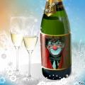 Animation mariage baptème repas tarn 81 albi castres mazamet