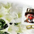 Animation repas mariages baptèmes Toulouse Haute-Garonne 31