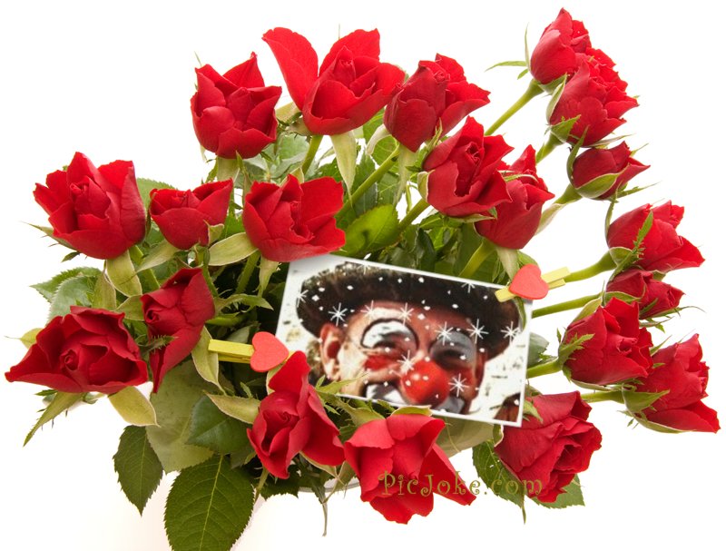 Auguste, la fleur des clowns