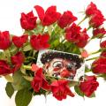 Auguste, la fleur des clowns
