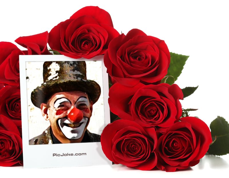Avec Auguste, c'est le bouquet !