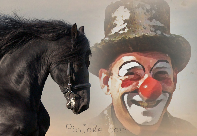 clown aude (13)