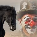 clown aude (13)