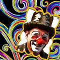 clown aude (7)