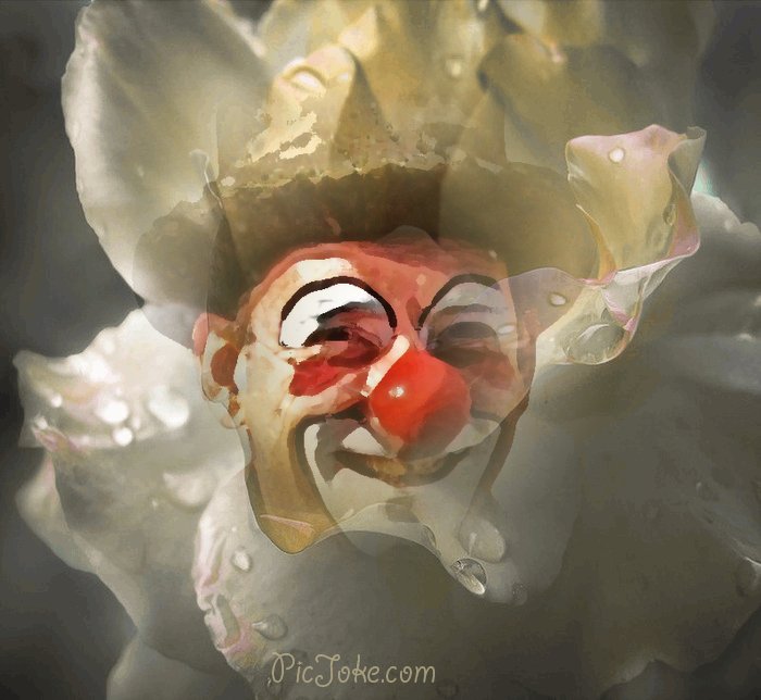 Clown Villepinte