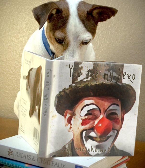 Clown Villeséquelande