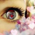 spectacles enfants albi