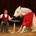 Carlos Savadra et son cheval comique sont des piliers...