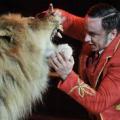L'animal est un lion alors que le monsieur est un...